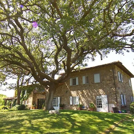 Renaissance: In Maremma, Vicina Al Mare Villa