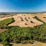 Renaissance: In Maremma, Vicina Al Mare Pescia Fiorentina